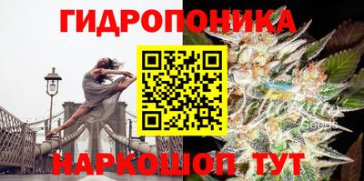 mdma Владимир