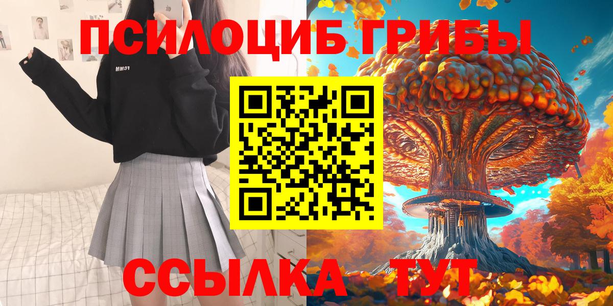 Галлюциногенные грибы Cubensis  Вход с VPN  Павлово 